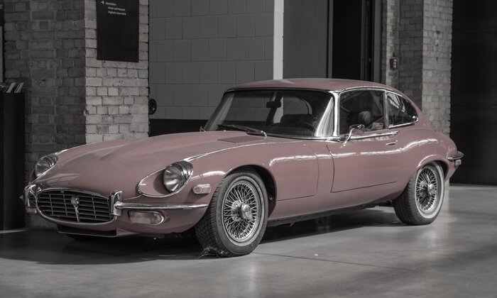 © emkanicepic (https://pixabay.com/users/emkanicepic-7638451/) | Pixabay License